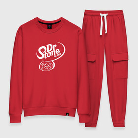 Женский костюм хлопок с принтом Доктор Стоун в Ухте, 100% хлопок | на свитшоте круглая горловина, мягкая резинка по низу. Брюки заужены к низу, на них два вида карманов: два 