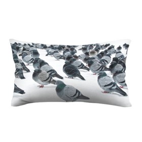 Подушка 3D антистресс Голуби: в Ухте, наволочка — 100% полиэстер, наполнитель — вспененный полистирол | состоит из подушки и наволочки на молнии | bird | pigeon | russia | snow | winter | голубь | животные | зима | курлык | птицы | россия | снег | текстура | фон | фотография