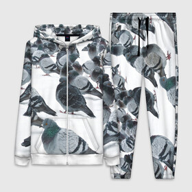 Женский костюм 3D Голуби: в Ухте,  |  | bird | pigeon | russia | snow | winter | голубь | животные | зима | курлык | птицы | россия | снег | текстура | фон | фотография