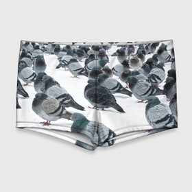 Мужские купальные плавки 3D Голуби: в Ухте, Полиэстер 85%, Спандекс 15% |  | bird | pigeon | russia | snow | winter | голубь | животные | зима | курлык | птицы | россия | снег | текстура | фон | фотография