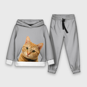 Детский костюм 3D (с толстовкой) Рыжий котик: в Ухте,  |  | baby | cat | kitty | глаза | голова | животные | зверь | кот | котенок | котики | кошки | лапы | малыш | полосатый | рыжий