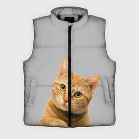 Мужской жилет утепленный 3D Рыжий котик: в Ухте,  |  | baby | cat | kitty | глаза | голова | животные | зверь | кот | котенок | котики | кошки | лапы | малыш | полосатый | рыжий