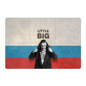 Магнитный плакат 3Х2 с принтом Little Big в Ухте, Полимерный материал с магнитным слоем | 6 деталей размером 9*9 см | Тематика изображения на принте: little big | евровидение