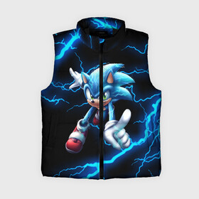 Женский жилет утепленный 3D SONIC: в Ухте,  |  | animal | games | hedgehog | sega | sonic | speed | speed sonic | быстрый ёж | ёж | ёжик | игры | персонаж | сега | синий ёж | скорость | соник