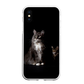 Чехол для iPhone XS Max матовый с принтом Котики в Ухте, Силикон | Область печати: задняя сторона чехла, без боковых панелей | Тематика изображения на принте: animal | animals | beast | black | cat | kitten | животное | животные | зверек | зверь | кот | котейка | котенок | котики | котэ | кошка | кошки | мейн кун | черная