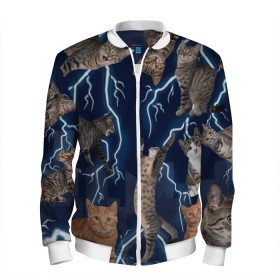 Мужской бомбер 3D с принтом Коты в Ухте, 100% полиэстер | застегивается на молнию, по бокам два кармана без застежек, по низу бомбера и на воротнике - эластичная резинка | город | животное | забавный | кот | молния