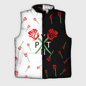 Мужской жилет утепленный 3D PAYTON MOORMEIER  ТИКТОК: в Ухте,  |  | payton moormeier | tiktok | блогер | пейтон | пейтон моормиер | тикток | тиктокер | ютубер