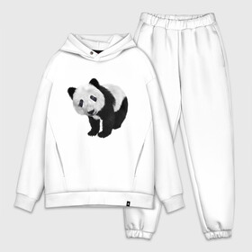 Мужской костюм хлопок OVERSIZE с принтом Панда в Ухте,  |  | животное | медведь | панда | пушистый | черно белое