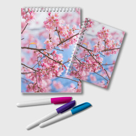 Блокнот Ветки Сакуры: в Ухте, 100% бумага | 48 листов, плотность листов — 60 г/м2, плотность картонной обложки — 250 г/м2. Листы скреплены удобной пружинной спиралью. Цвет линий — светло-серый
 | абрикос | весна | ветки | ветки сакуры | сакура ветки | цветение | цветы