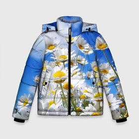 Зимняя куртка для мальчиков 3D Ромашки: в Ухте, ткань верха — 100% полиэстер; подклад — 100% полиэстер, утеплитель — 100% полиэстер | длина ниже бедра, удлиненная спинка, воротник стойка и отстегивающийся капюшон. Есть боковые карманы с листочкой на кнопках, утяжки по низу изделия и внутренний карман на молнии. 
Предусмотрены светоотражающий принт на спинке, радужный светоотражающий элемент на пуллере молнии и на резинке для утяжки | flower bouquet | flowers | spring | summer | аромат | букет цветов | букеты | весна | жара | лето | небо | незабудки | пионы | розы | ромашка | ромашки | солнце | цветной принт | цветочки | цветы