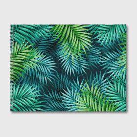 Альбом для рисования с принтом ТРОПИКИ в Ухте, 100% бумага
 | матовая бумага, плотность 200 мг. | abstraction | colorful | texture | абстракции | гранж | капли | кляксы. | краски | разводы | текстуры | царапины