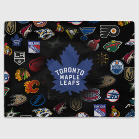 Плед 3D с принтом Toronto Maple Leafs | НХЛ (Z) в Ухте, 100% полиэстер | закругленные углы, все края обработаны. Ткань не мнется и не растягивается | anaheim ducks | arizona coyotes | boston bruins | buffalo sabres | calgary flames | canadiens de montreal | carolina hurricanes | chicago blackhawks | colorado avalanche | columbus blue jackets | dallas stars | detroit red wings | edmonton oil | hockey | 