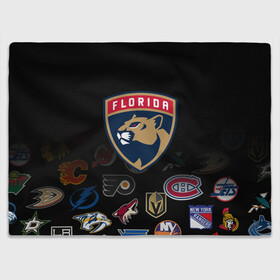 Плед 3D с принтом NHL Florida Panthers (Z) в Ухте, 100% полиэстер | закругленные углы, все края обработаны. Ткань не мнется и не растягивается | Тематика изображения на принте: anaheim ducks | arizona coyotes | boston bruins | buffalo sabres | calgary flames | canadiens de montreal | chicago blackhawks | colorado | florida panthers | hockey | nhl | нхл | паттерн | спорт | хоккей