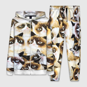 Женский костюм 3D с принтом КОТ МЕМ в Ухте,  |  | cat | взгляд | кот | кот хипстер | котёнок | котятки | котятушки | кошечки | кошка | мордочка