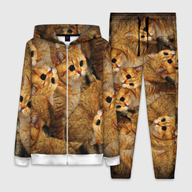 Женский костюм 3D с принтом КОТЯТУШКИ в Ухте,  |  | cat | взгляд | кот | кот хипстер | котёнок | котятки | котятушки | кошечки | кошка | мордочка