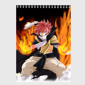 Скетчбук с принтом FAIRY TAIL ХВОСТ ФЕИ в Ухте, 100% бумага
 | 48 листов, плотность листов — 100 г/м2, плотность картонной обложки — 250 г/м2. Листы скреплены сверху удобной пружинной спиралью | fairy tail | аниме | анимэ | манга | мультфильм | персонаж | сказка | фаир таил | фаиру таил | фейри тейл | фильм | хвост феи
