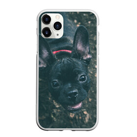 Чехол для iPhone 11 Pro Max матовый с принтом Бульдог морда собакена черного в Ухте, Силикон |  | бульдог | гав | глаза | любимец | любителю животных | ошейник | пес | песель | песик | питомец | псина | псинка | собака | собакен | собачка | собачник | уши | черный | язык