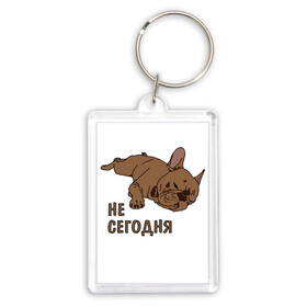 Брелок прямоугольный 35*50 с принтом Не сегодня в Ухте,  |  | Тематика изображения на принте: бульдог | бульдожка | гав | домашние | животные | зверек | каникулы | лапы | лежать | ленивый | лето | малыш | милый | мордочка | надпись | няшные | отдых | пес | питомец | прикольные | псина | собака