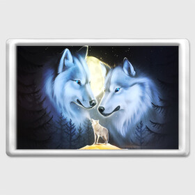 Магнит 45*70 с принтом ВОЛК В НОЧИ(D) в Ухте, Пластик | Размер: 78*52 мм; Размер печати: 70*45 | wolf | волк | волки | волчица | животные | одинокий волк