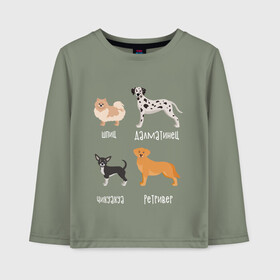 Детский лонгслив хлопок шпиц ретривер белый: в Ухте, 100% хлопок | круглый вырез горловины, полуприлегающий силуэт, длина до линии бедер | далматинец | песокафе | ретривер | собаки | чихуахуа | шпиц