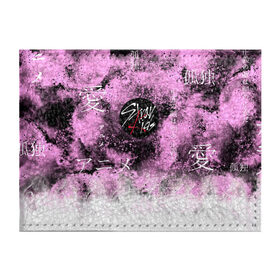 Обложка для студенческого билета с принтом Stray kids в Ухте, натуральная кожа | Размер: 11*8 см; Печать на всей внешней стороне | Тематика изображения на принте: bts | exo | k pop | monsta x | stray kids | straykids | кей поп | кейпоп | стреи | стрей кидс | стрэй кидс