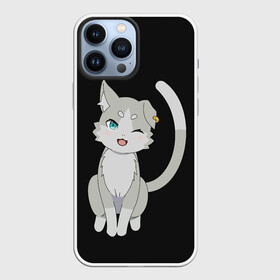 Чехол для iPhone 13 Pro Max с принтом Re:Zero в Ухте,  |  | anime | cat | cats | glitch | japan | ram | re | rem | rezero | senpai | subaru | waifu | zero | анимация | аниме | вайфу | глитч | глич | кот | кошка | мультсериал | мультфильм | семпай | сенпай | сериал | япония