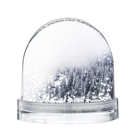 Снежный шар зимний лес: в Ухте, Пластик | Изображение внутри шара печатается на глянцевой фотобумаге с двух сторон | зима | зимний лес | лес | снег | сосны