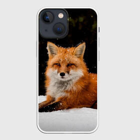 Чехол для iPhone 13 mini с принтом Лиса и снег в Ухте,  |  | fox | foxy | животные | звери | зима | зимняя | лиса | лисичка | лисы | природа | снег | снежная