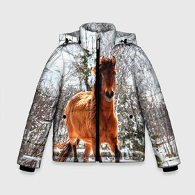 Зимняя куртка для мальчиков 3D Конь и снег: в Ухте, ткань верха — 100% полиэстер; подклад — 100% полиэстер, утеплитель — 100% полиэстер | длина ниже бедра, удлиненная спинка, воротник стойка и отстегивающийся капюшон. Есть боковые карманы с листочкой на кнопках, утяжки по низу изделия и внутренний карман на молнии. 
Предусмотрены светоотражающий принт на спинке, радужный светоотражающий элемент на пуллере молнии и на резинке для утяжки | животные | звери | зима | кони | конь | коняшка | лошади | лошадка | лошадь | пони | природа | снег