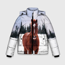 Зимняя куртка для мальчиков 3D Конь и снег: в Ухте, ткань верха — 100% полиэстер; подклад — 100% полиэстер, утеплитель — 100% полиэстер | длина ниже бедра, удлиненная спинка, воротник стойка и отстегивающийся капюшон. Есть боковые карманы с листочкой на кнопках, утяжки по низу изделия и внутренний карман на молнии. 
Предусмотрены светоотражающий принт на спинке, радужный светоотражающий элемент на пуллере молнии и на резинке для утяжки | животные | звери | зима | кони | конь | коняшка | лошади | лошадка | лошадь | пони | природа | снег