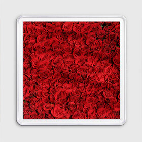 Магнит 55*55 с принтом Roses в Ухте, Пластик | Размер: 65*65 мм; Размер печати: 55*55 мм | алые розы | весна | деревья | касные розы | красная роза | красный цветок | лепестки | лес | лето | листья | май | милион алых роз | на каждый день | осень | поле | роза | розы | солнце | тропики | флора