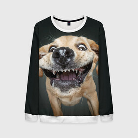 Мужской свитшот 3D Улыбающаяся Собака: в Ухте, 100% полиэстер с мягким внутренним слоем | круглый вырез горловины, мягкая резинка на манжетах и поясе, свободная посадка по фигуре | dog | зубы | лапы | мем | пес | прикол | слюни | смешные животные | собака | собачка | улыбающаяся собака | улыбка | щенок | юмор | язык
