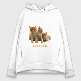 Женское худи Oversize хлопок с принтом Cat Pride в Ухте, френч-терри — 70% хлопок, 30% полиэстер. Мягкий теплый начес внутри —100% хлопок | боковые карманы, эластичные манжеты и нижняя кромка, капюшон на магнитной кнопке | cat | pride | звери | коты и кошки | котята | надпись