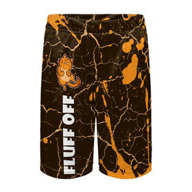 Детские спортивные шорты 3D КОТ - FLUFF OFF / Отвали: в Ухте,  100% полиэстер
 | пояс оформлен широкой мягкой резинкой, ткань тянется
 |