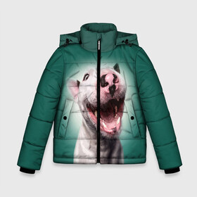 Зимняя куртка для мальчиков 3D с принтом Bully в Ухте, ткань верха — 100% полиэстер; подклад — 100% полиэстер, утеплитель — 100% полиэстер | длина ниже бедра, удлиненная спинка, воротник стойка и отстегивающийся капюшон. Есть боковые карманы с листочкой на кнопках, утяжки по низу изделия и внутренний карман на молнии. 

Предусмотрены светоотражающий принт на спинке, радужный светоотражающий элемент на пуллере молнии и на резинке для утяжки | bull terrier | ears | eyes | fangs | jaw | muzzle | nose | smile | бультерьер | глаза | клыки | нос | пасть | улыбка | уши