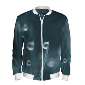 Мужской бомбер 3D с принтом Капля росы в Ухте, 100% полиэстер | застегивается на молнию, по бокам два кармана без застежек, по низу бомбера и на воротнике - эластичная резинка | Тематика изображения на принте: капелька | капелька росы | капля росы | растение | роса