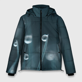 Мужская зимняя куртка 3D с принтом Капля росы в Ухте, верх — 100% полиэстер; подкладка — 100% полиэстер; утеплитель — 100% полиэстер | длина ниже бедра, свободный силуэт Оверсайз. Есть воротник-стойка, отстегивающийся капюшон и ветрозащитная планка. 

Боковые карманы с листочкой на кнопках и внутренний карман на молнии. | Тематика изображения на принте: капелька | капелька росы | капля росы | растение | роса