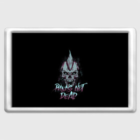 Магнит 45*70 с принтом PUNKS NOT DEAD в Ухте, Пластик | Размер: 78*52 мм; Размер печати: 70*45 | Тематика изображения на принте: anarchy | dead | musick | punk | rock | skull | анархия | музыка | панк | рок | череп