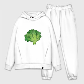 Мужской костюм хлопок OVERSIZE с принтом Кудрявая капуста в Ухте,  |  | арт | капуста | кудри | кудрявая | кудрявая капуста | кудряшки | мило | милота | овощ | рисунок | свежий овощ | свежий продукт