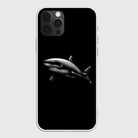 Чехол для iPhone 12 Pro Max с принтом Акула в Ухте, Силикон |  | акула | акулы | морские животные | рыбы | хищники
