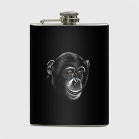 Фляга с принтом Обезьяна в Ухте, металлический корпус | емкость 0,22 л, размер 125 х 94 мм. Виниловая наклейка запечатывается полностью | Тематика изображения на принте: животные | обезьяна | обезьяны | приматы | шимпанзе