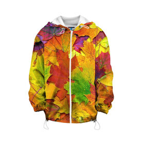 Детская куртка 3D с принтом Осенние листья в Ухте, 100% полиэстер | застежка — молния, подол и капюшон оформлены резинкой с фиксаторами, по бокам — два кармана без застежек, один потайной карман на груди, плотность верхнего слоя — 90 г/м2; плотность флисового подклада — 260 г/м2 | клён | краски | листья | осень | радуга | разноцветный | яркая
