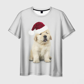 Мужская футболка 3D с принтом ЩЕНОЧЕК В ШАПКЕ в Ухте, 100% полиэфир | прямой крой, круглый вырез горловины, длина до линии бедер | 