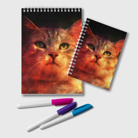 Блокнот с принтом Кот в Ухте, 100% бумага | 48 листов, плотность листов — 60 г/м2, плотность картонной обложки — 250 г/м2. Листы скреплены удобной пружинной спиралью. Цвет линий — светло-серый
 | 