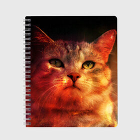 Тетрадь с принтом Кот в Ухте, 100% бумага | 48 листов, плотность листов — 60 г/м2, плотность картонной обложки — 250 г/м2. Листы скреплены сбоку удобной пружинной спиралью. Уголки страниц и обложки скругленные. Цвет линий — светло-серый
 | 