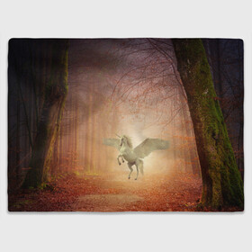 Плед 3D Единорог: в Ухте, 100% полиэстер | закругленные углы, все края обработаны. Ткань не мнется и не растягивается | единорог | единороги | животное | животные | кони | конь | крылья | крыльями | лес | лесной | лесные | лошади | лошадь | осенний | осень | пигас | пигасы