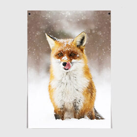 Постер Лиса: в Ухте, 100% бумага
 | бумага, плотность 150 мг. Матовая, но за счет высокого коэффициента гладкости имеет небольшой блеск и дает на свету блики, но в отличии от глянцевой бумаги не покрыта лаком | animal | fox | foxy | snow | winter | животное | животные | звери | зверь | зима | лиса | лисица | мороз | рыжая | снег | снежинка