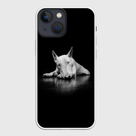 Чехол для iPhone 13 mini с принтом Puppy в Ухте,  |  | bull terrier | dog | ears | eyes | muzzle | nose | paws | puppy | бультерьер | глаза | лапы | нос | уши | щенок