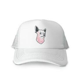 Кепка тракер с сеткой Собака матрос: в Ухте, трикотажное полотно; задняя часть — сетка | длинный козырек, универсальный размер, пластиковая застежка | диамант | матрос | маяк | молния | пирсинг | собака | тату