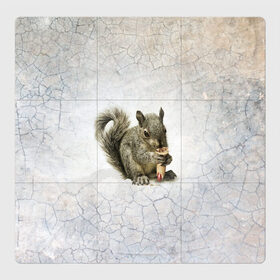 Магнитный плакат 3Х3 Белки: в Ухте, Полимерный материал с магнитным слоем | 9 деталей размером 9*9 см | blood | bone | claw | ears | eyes | fear | finger | horror | muzzle | nose | squirrel | tail | белка | глаза | когти | кость | кровь | лапы | нос | палец | ужас | уши | хвост